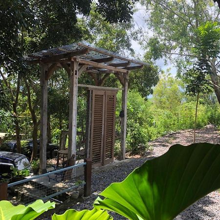 Omah Cantrik, Ethnic Java House With Nature View Jarakan Экстерьер фото