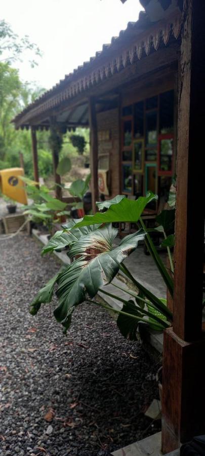 Omah Cantrik, Ethnic Java House With Nature View Jarakan Экстерьер фото